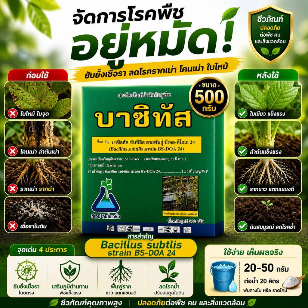 สารชีวภัณฑ์กำจัดศัตรูพืช บาซิทัส (บาซิลลัส ซับทิลิส สายพันธุ์ บีเอส-ดีโอเอ 24) ขนาด 500 กรัม