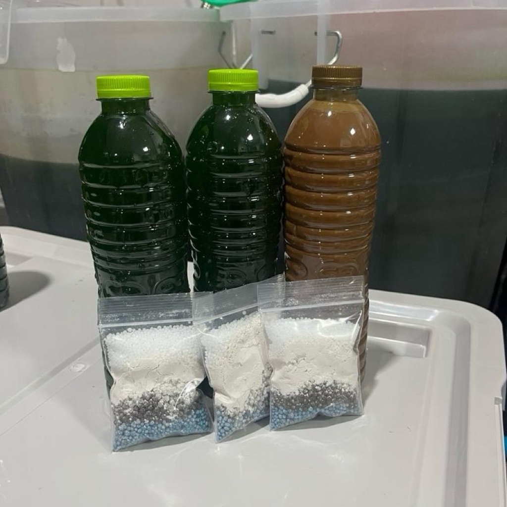 ชุดทำน้ำเขียว แถมปุ๋ย3 สามารถแบ่งทำได้ 60ลิตร +แคปซูลไรแดงมาโครโคปา ฟักง่าย 3วันเห็นตัวชัด