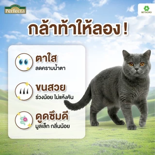 Perfecta อาหารแมว เกรดพรีเมี่ยม แมวโต อายุ 1 ปี ขึ้นไป สูตรแซลมอน เนื้อสดแท้ Human grade ขนาด 3 กก.