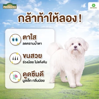 Perfecta อาหารสุนัข เกรดพรีเมี่ยม สุนัขโต พันธุ์เล็ก 1 ปี ขึ้นไป สูตรแซลมอน เนื้อสดแท้ Human grade ขนาด 3 กก.
