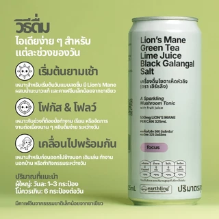 เครื่องดื่มโซดาเห็ดหัวลิง l Lion's Mane Green Tea Lime Juice Black Galangal Salt l เหมาะกับวันใช้สมาธิ I 10 กระป๋อง/แพ็ค