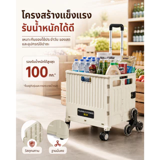 กล่องเก็บของพับได้พร้อมล้อเลื่อน | ลากง่ายขึ้นบันไดได้ | ใช้ได้ทั้งในบ้านและนอกบ้าน