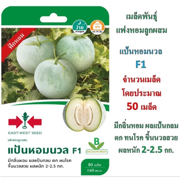 เมล็ดพันธุ์ ฟักแฟงลูกผสม แป้นหอมนวล F1 ศรแดง จำนวนบรรจุ 80 เมล็ด/ตร.ม โดยประมาณ