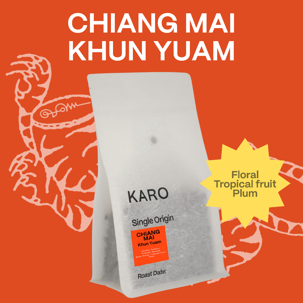 Karo Single Origin Coffee beans - เมล็ดกาแฟคั่วอ่อน Chiang Mai Khun Yuam (Floral, Tropical fruit, Pl