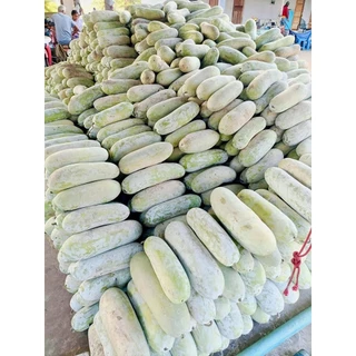 ฟักเชื่อมแห้งคัดเกรดA #สินค้าพรีออเดอร์7-10วัน สำหรับทำจัดชุดจันอับหรือทำไส้ขนมเปี๊ยะขนาด10กิโล