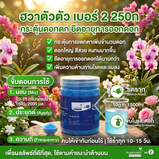 【GreenThumb】ปุ๋ยฮัวตัวตัว 2 สูตร 250 กรัม ปุ๋ยอเนกประสงค์สำหรับไม้ดอกไม้ประดับ เร่งดอก เร่งผล ให้ดอกบานนานขึ้น