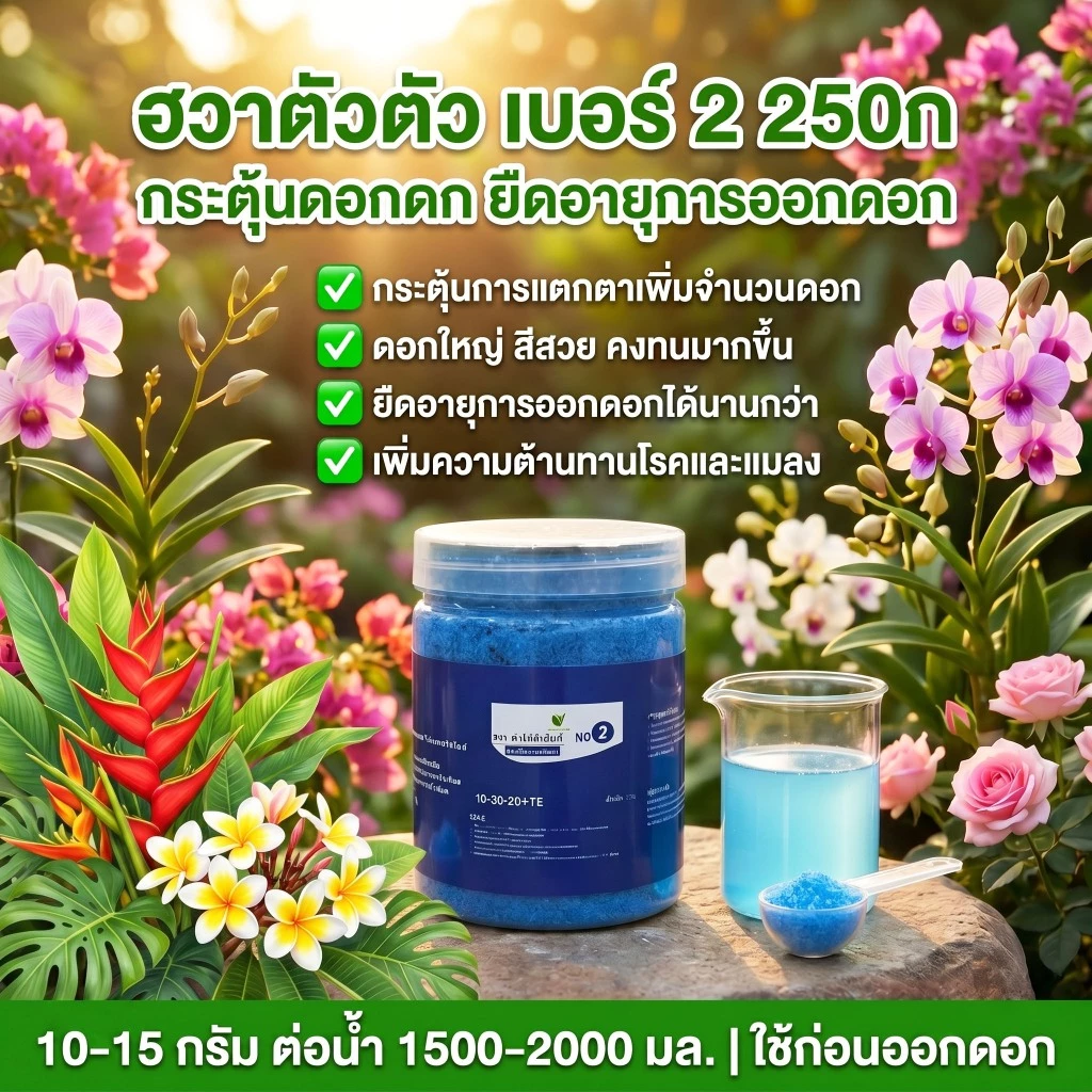 【GreenThumb】ปุ๋ยฮัวตัวตัว 2 สูตร 250 กรัม ปุ๋ยอเนกประสงค์สำหรับไม้ดอกไม้ประดับ เร่งดอก เร่งผล ให้ดอกบานนานขึ้น