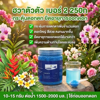 【GreenThumb】ปุ๋ยฮัวตัวตัว 2 สูตร 250 กรัม ปุ๋ยอเนกประสงค์สำหรับไม้ดอกไม้ประดับ เร่งดอก เร่งผล ให้ดอกบานนานขึ้น