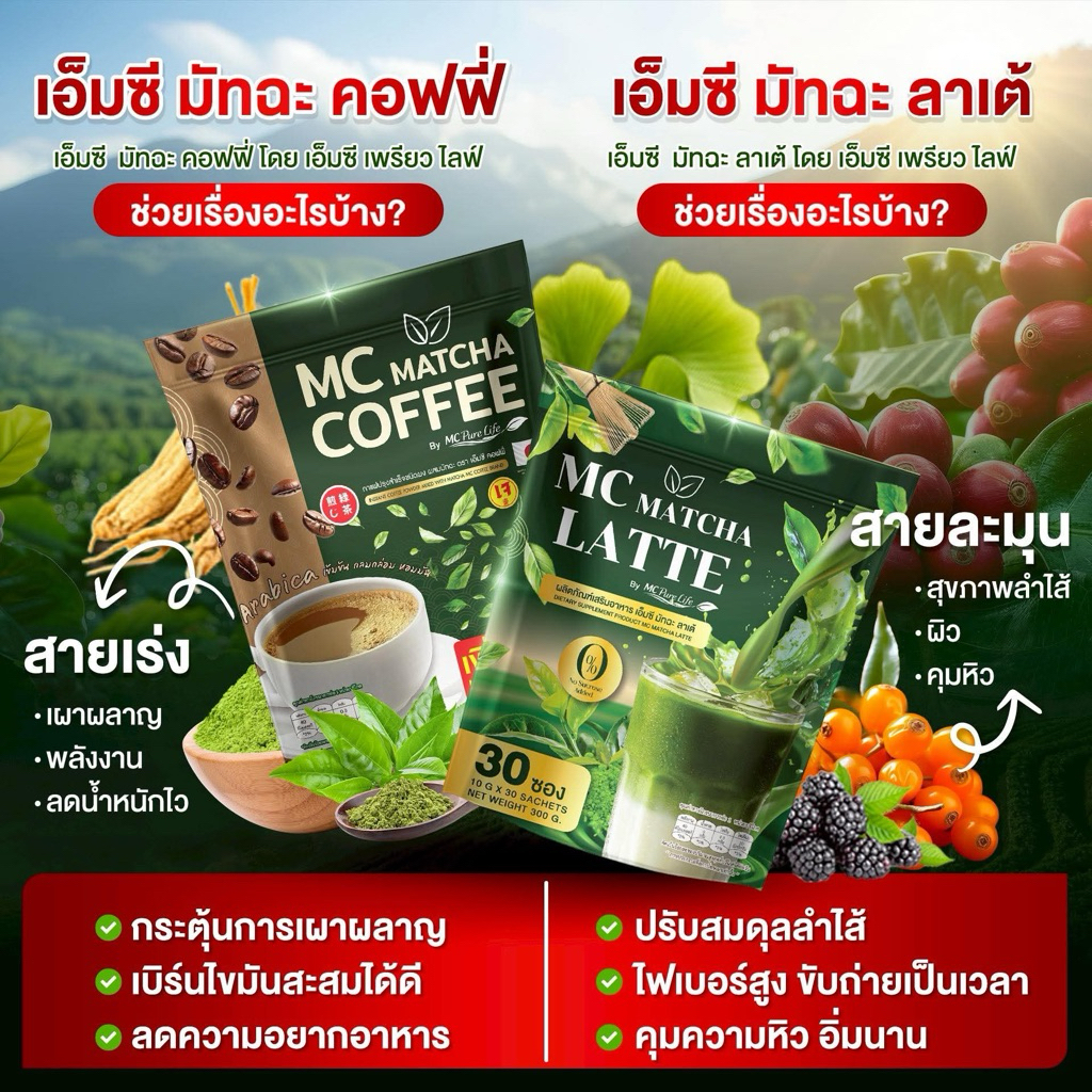 โปร 1 แถม 1 (60 ซองกาแฟมัทฉะ +  MC มัทฉะ ลาเต้ สูตรอิ่มนาน อิ่มไว