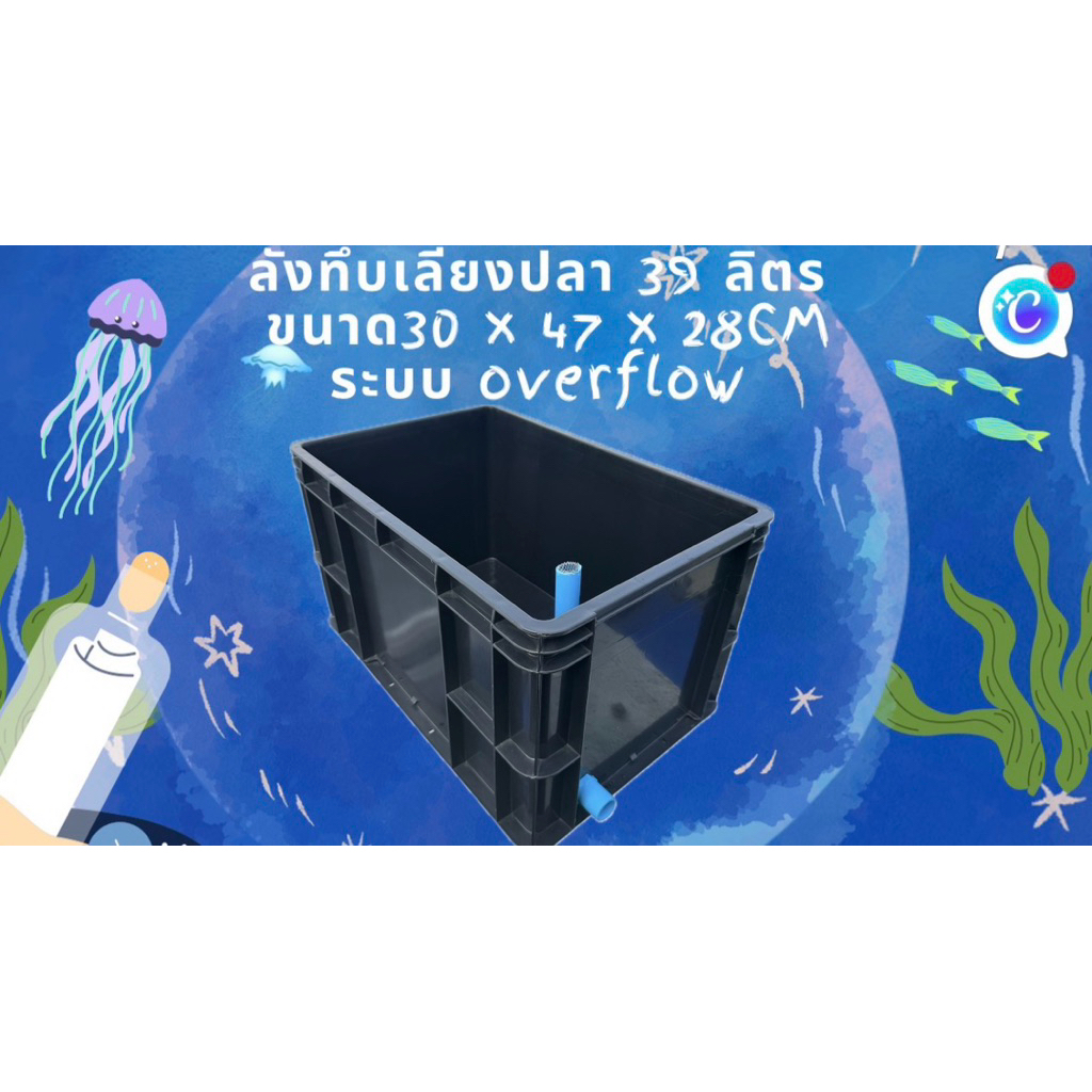 ลังทึบเลี้ยงปลาสีดำ 39 ลิตร ระบบoverflow ท่อเดียวฟ้า อ่างเปล อ่างปลาบอลลูน อ่างปลาหางนกยูง อ่างเลี้ย