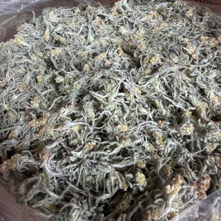 หญ้าชิวคัก หญ้าทำขนมเทียน ขนาด 50-100 กรัม หอมๆ พร้อมส่ง