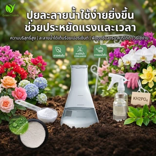 【GreenThumb】ปุ๋ยบำรุงพืช พแทสเซียมไดไฮโดรเจนฟอสเฟต 250 กรัม เร่งดอก เร่งตา ป้องกันใบเหลือง ใบม้วน ใช้ได้กับไม้ดอก ไม้ผล