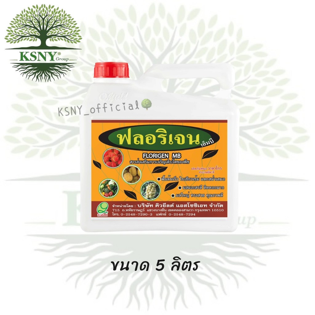 ฟลอริเจน เอ็มบี คิวยีลด์  (แกลลอน 5 ลิตร) ฟื้นต้นเร็ว ใบเขียวเข้ม สม่ำเสมอ