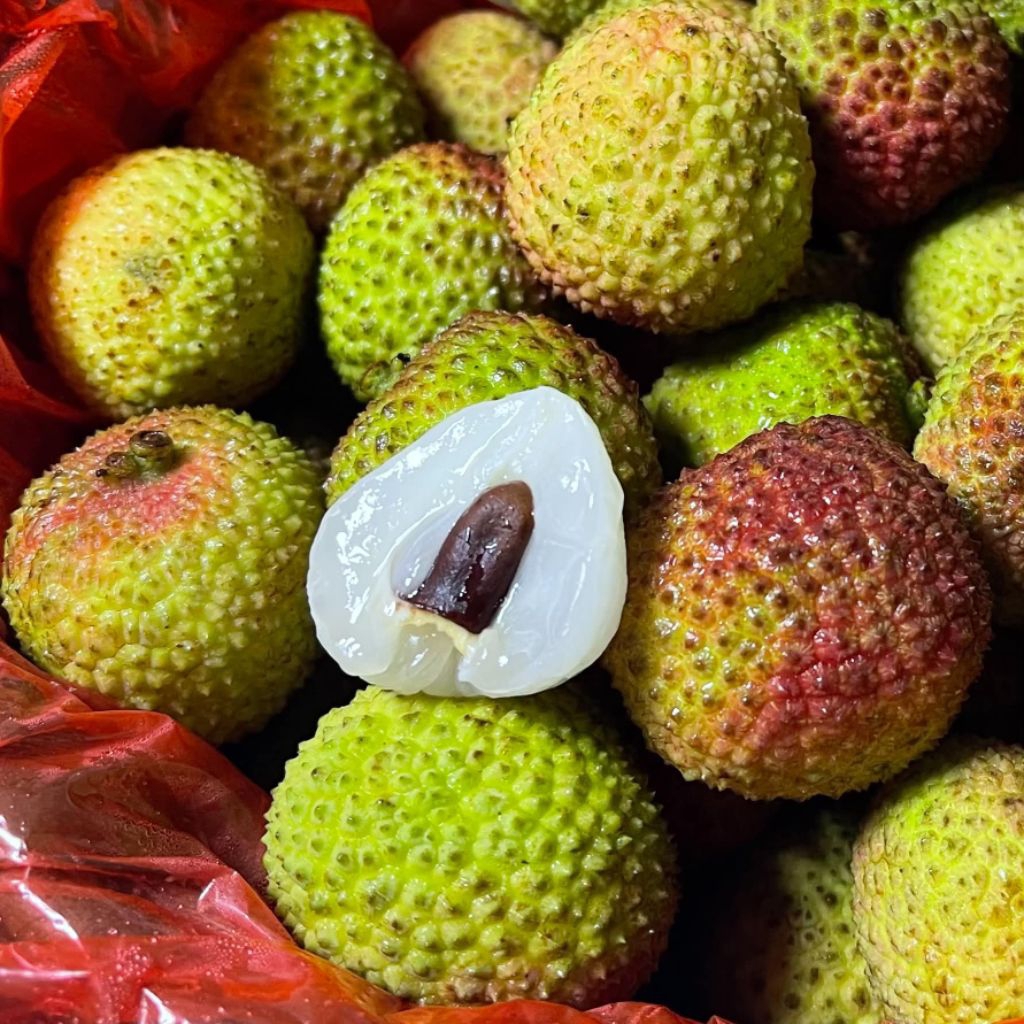 สายพรีเมี่ยม ห้ามพลาด ลิ้นจี่เขียว สายพันธุ์สนมยิ้ม นกแก้ว 🦜หวาน ฉ่ำ เม็ดลีบ สดใหม่ ส่งด่วนใน 3-4 ชม