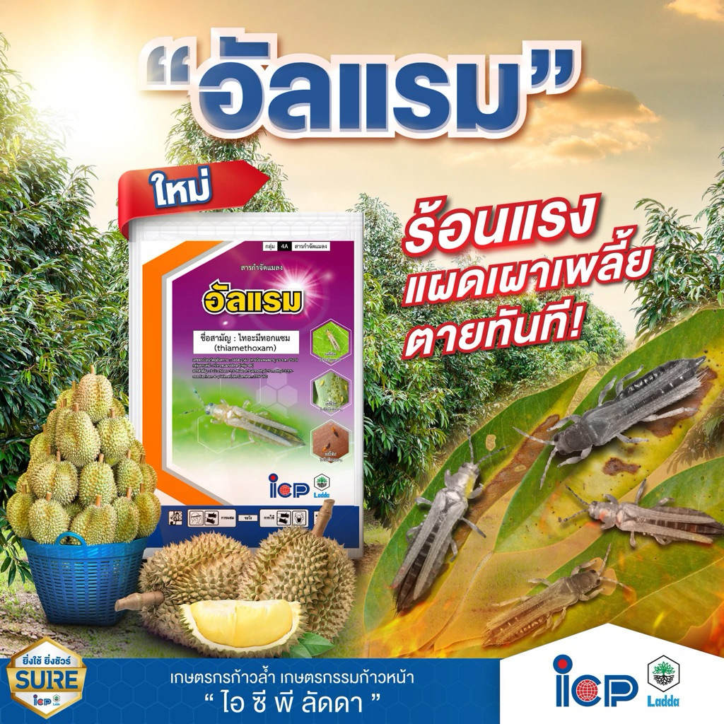 ICP อัลแรม (ไทอะมีทอกแซม) ยาเพลี้ยไฟ เพลี้ยไก่แจ้ จักจั่นฝอย | 100 กรัม