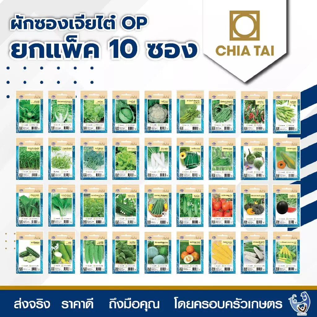 เมล็ดพันธุ์ผักซองเจียไต๋ (OP) บรรจุ 1 ซอง (ชุดที่ 1) เมล็ดพันธุ์ตราเจียไต๋
