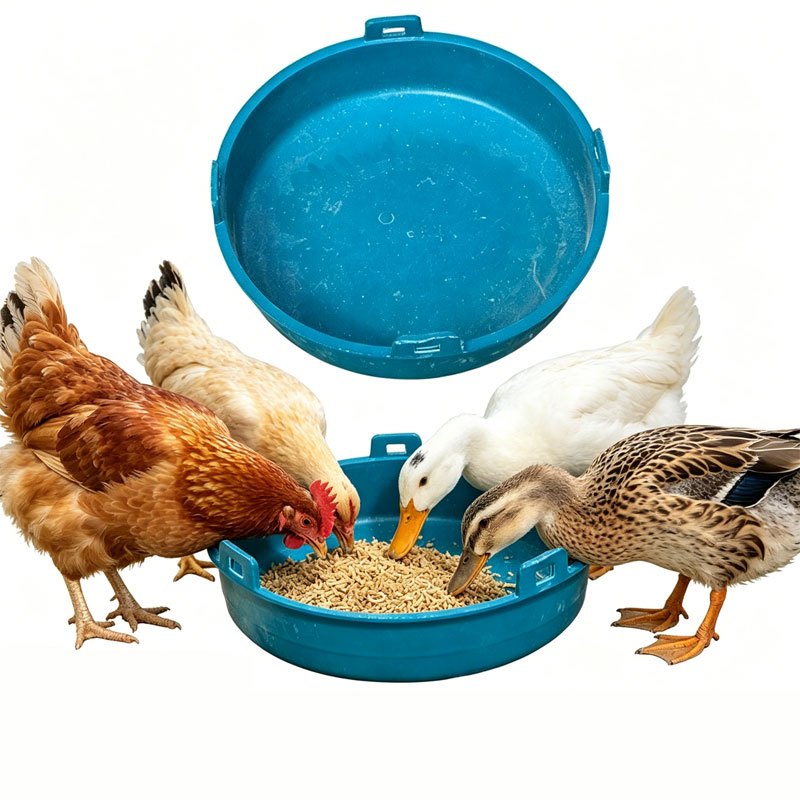 coralcoveshop ถาดอาหารไก่ ที่ให้อาหารไก่ ถังให้อาหาร ขนาด 40cm แขวนได้ ใช้กับไก่ เป็ด ห่าน
