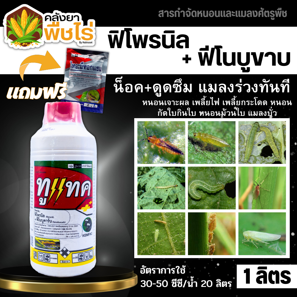 🌽 ทูแทค (ฟิโพรนิล+ฟีโนบูขาบ) 1ลิตร ป้องกันกำจัดเพลี้ย หนอนกระทู้กัดใบข้าว ด้วงกัดใบ ปลวก