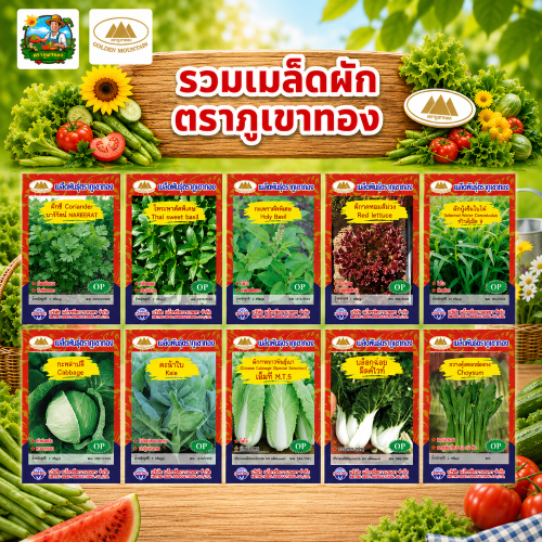 รวมเมล็ดผักตราภูเขาทอง OP ผักสวนครัว-ผักใบ (ชุดที่3) มากกว่า50 ชนิด
