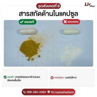 ลิฟพลัส ( Livplus ) บำรุงตับ ชุด 1 กล่อง 30 แคปซูล