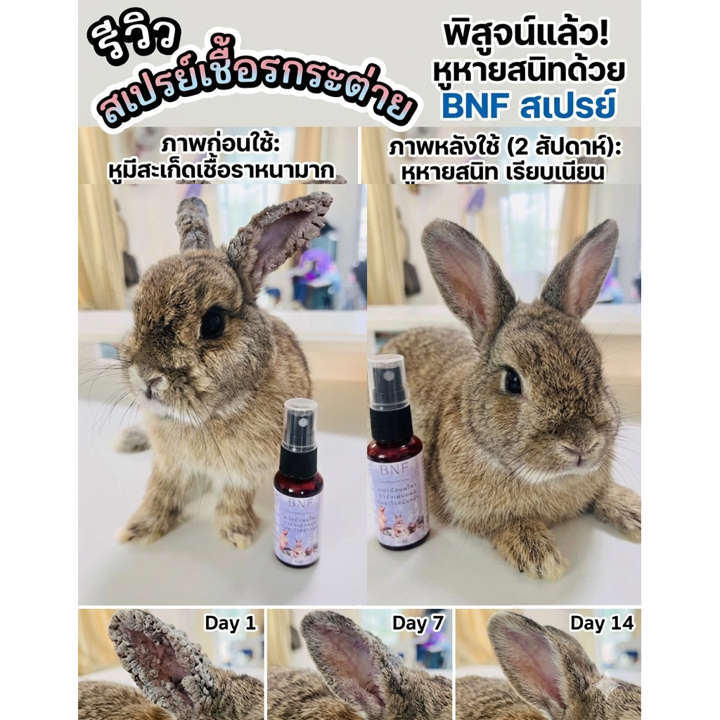 สเปรย์ไรขน และเซรั่มบำรุง