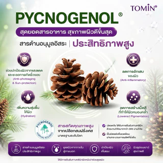 TOMIN™ Pycnogenol Plus เปลือกสนฝรั่งเศส ผิวใส ลดฝ้า วิตามินผิว ต้านอนุมูลอิสระ