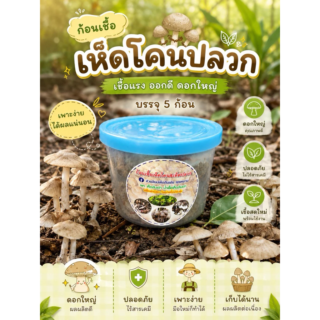 ก้อนเชื้อเห็ดโคน หัวเชื้อสูตรเข้มข้นเจ้าแรกในไทย