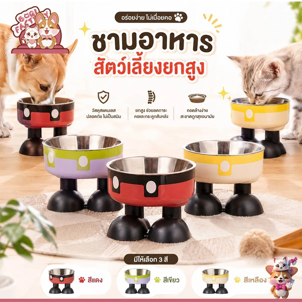 Boqi Factory ชามอาหารสัตว์เลี้ยง ชามอาหารแมว ทรงยกสูง น่ารักมินิมอล 2ชั้นถอดได้ CW382