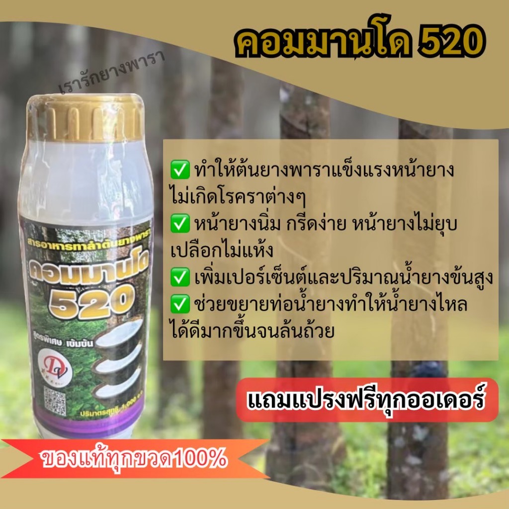 คอมมานโด 520 ยารักษาหน้ายางพารา ขนาด 500CC ( แถมแปรงฟรีทุกออเดอร์ )
