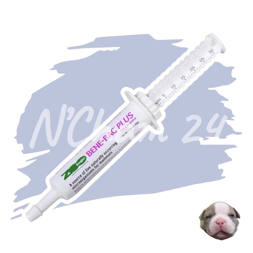 PetAg Benebac plus gel 30g หมดอายุ11/2026 ช่วยย่อย ในสุนัข แมว กระต่าย