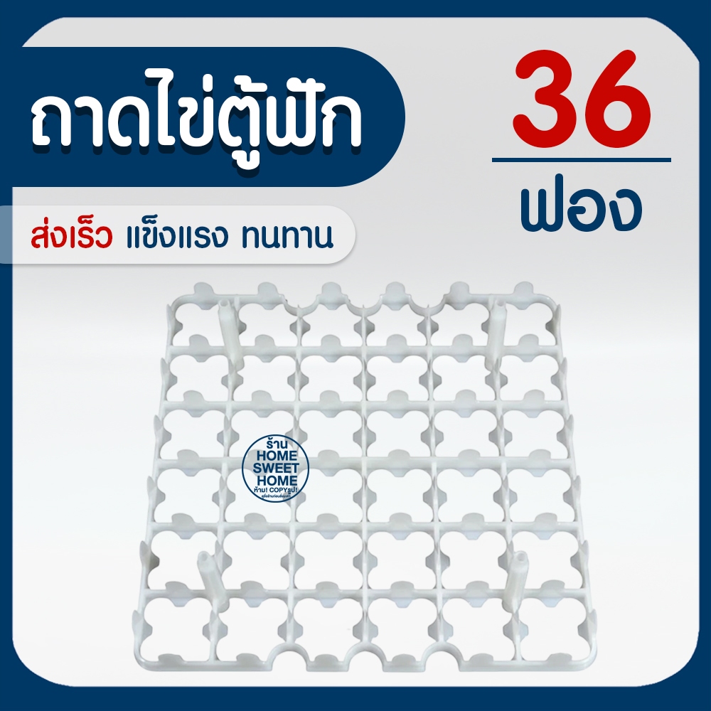 ถาดไข่ตู้ฟัก 36ฟอง ถาดไข่พลาสติก แผงไข่ ถาด สีขาว เหนียว ทนทาน แข็งแรง ไก่ สัตว์ปีก เลี้ยงไก่ promo