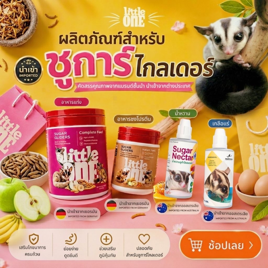 อาหารชูก้าไกรเดอร์ Little One