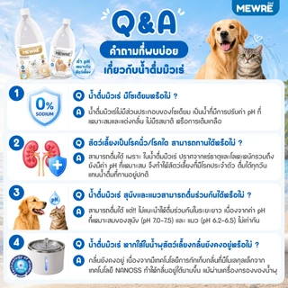 MEWRE มิวเร่ น้ำดื่มเพื่อสุขภาพน้องเเมว ขนาด 1,000 ML ผสานเทคโนโลยี NANOSS (MC-N 1L x 2 )