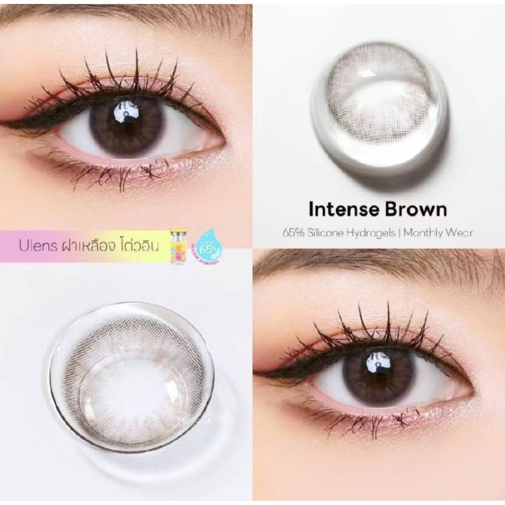 คอนแทคเลนส์ลาย Intense Brown สีน้ำตาล ขนาดเลนส์ 14.5 mm ค่าอมน้ำ 65% รายเดือน ( U Lens )