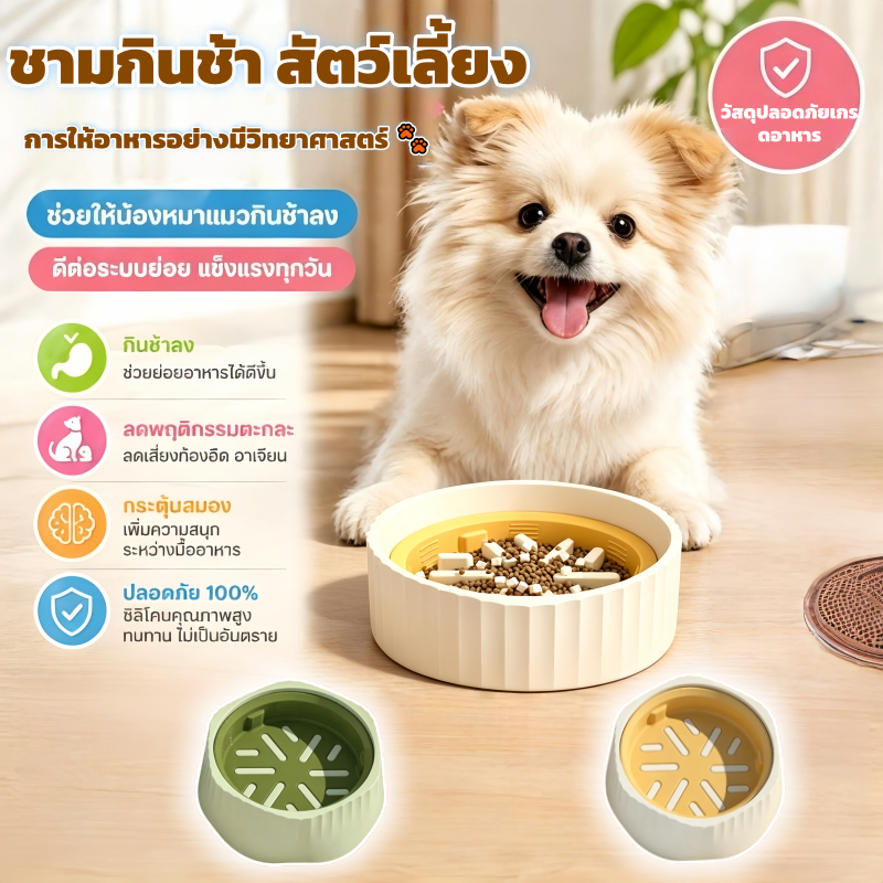 【จัดส่งจากไทย】ชามข้าวสุนัขฝึกกินช้า โหมดกินปกติ โหมดกินช้า  2in1 วัสดุ PP เกรดอาหาร ป้องกันการสําลัก หมา แมว ฝึกให้ทานช้
