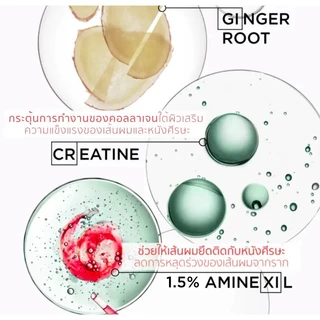 Kerastase Genesis Homme Bain de Force Quotidien Anti Hair Fall Shampoo for Men 250ml แชมพูลดผมร่วง