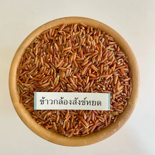 [ 1 กิโลกรัม ] ข้าวสังข์หยดพัทลุง แพ็คสุญญากาศ แบบกล้อง/ซ้อมมือ