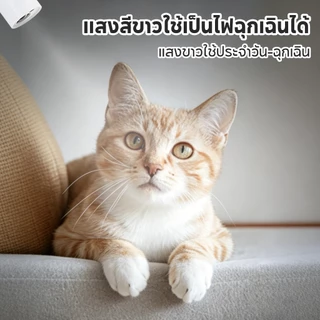 PETStar1🥇รุ่นยอดนิยม🥇ตัวชี้เลเซอร์แมว 3-in-1ลายแม้ & ตัวเลือกหลายรูปทรง ของเล่นแมวแบบโต้ตอบ พลังงานสูง กวาด สะอาด ทุกจุด