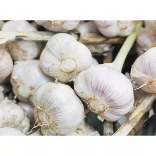 อัลลิซินจากสารสกัดกระเทียม allicin extract ผลิตภัณฑ์เสริมอาหาร ตรา นาคญา