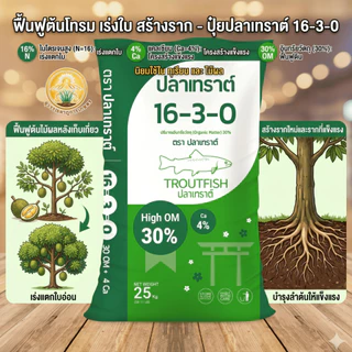 ปุ๋ยปลาเทราต์ สูตร 16-3-0 ฟื้นฟูต้นพืชหลังเก็บเกี่ยว เร่งแตกใบอ่อน สร้างรากใหม่ และบำรุงลำต้นให้แข็งแรง นิยมใช้ในไม้ผล