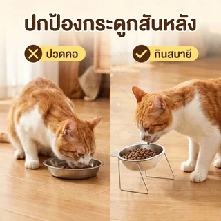 wen.W2 ชามสแตนเลสยกสูง สำหรับหมาและแมว ไม่เมื่อยคอ ล้างง่าย พร้อมส่ง