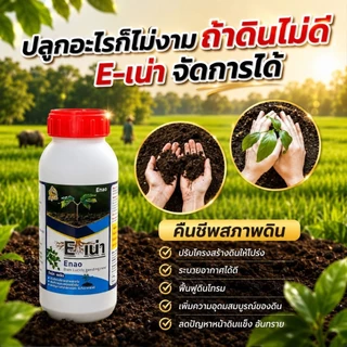 [โปร 5 ขวด] E-เน่า กู้ดิน ดินเสีย ดินกระด้าง ปรับปรุงดินชนิดจุลินทรีย์ จำนวน 5 ขวด (ขวด 500ml)