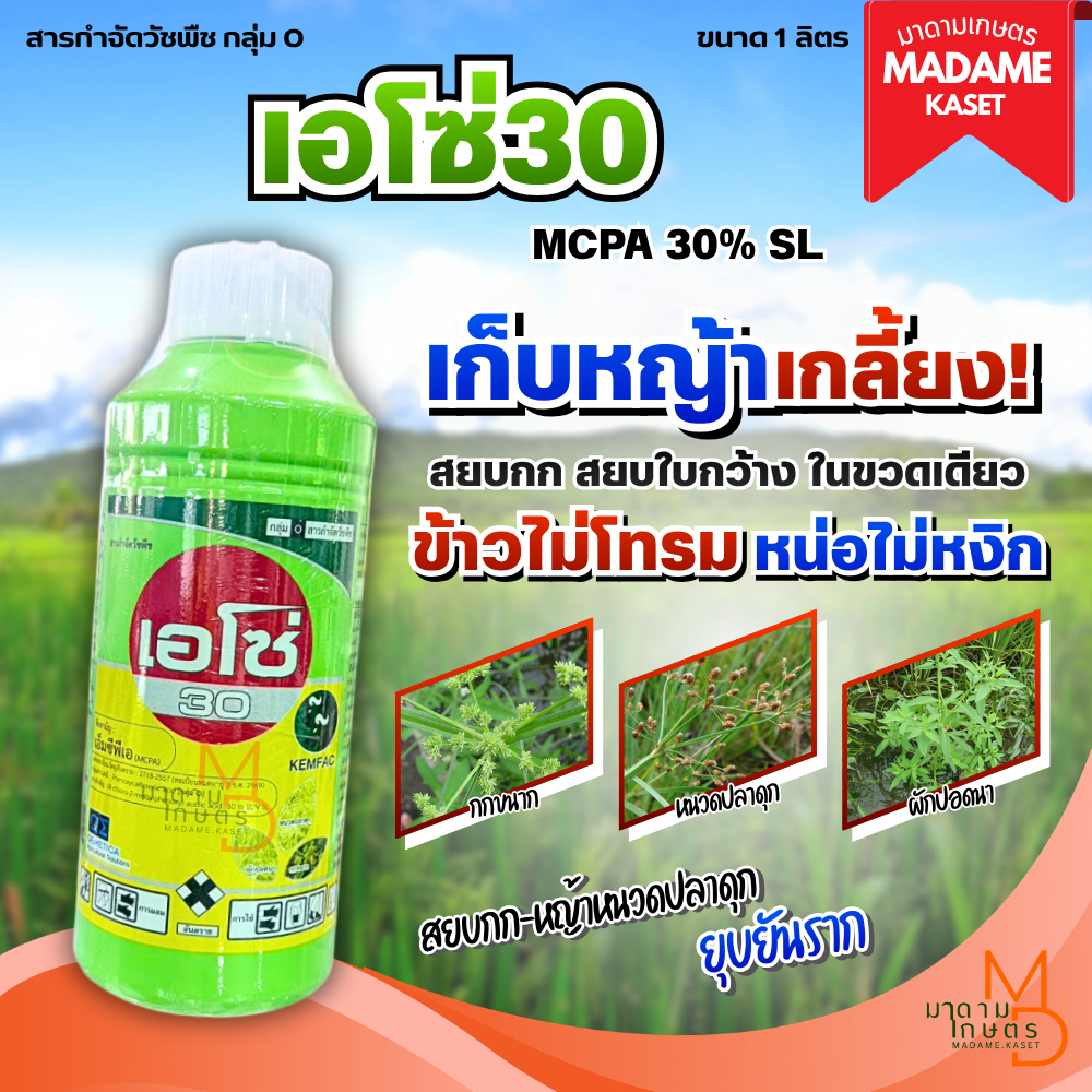 เอโซ่30 MCPA 30% เอ็มซีพีเอ เก่งหญ้าใบกว้างและกก หนวดปลาดุก ผักปอดนา ขนาด 1 ลิตร