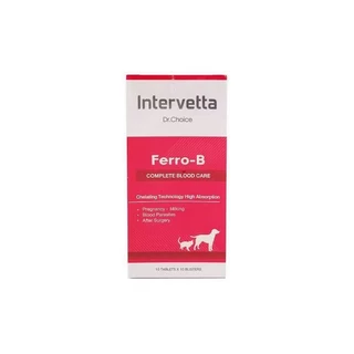 Dr.Choice Ferro-B (Exp.10/2027) บรรจุ 100 เม็ด อาหารเสริมเพื่อช่วยบำรุงสำหรับสุนัขและแมว