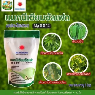 (ถุงแบรนด์ 1 kg) แม่ปุ๋ย ปุ๋ยเกล็ด ปุ๋ยไฮโดรโปนิกส์ ปุ๋ยระบบน้ำหยด(บ.ดวงตะวันเพชร)