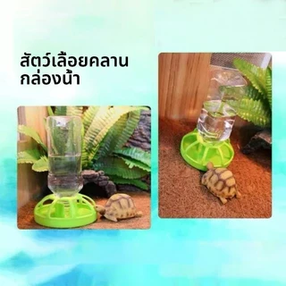 สัตว์เลี้ยงขนาดเล็กบนบก เครื่องจ่ายน้ำเต่า ให้น้ำสัตว์เลื้คลา ป้องกันเต่าลงไปแช่น้ำ ใส่น้ำอัตโนมัติ