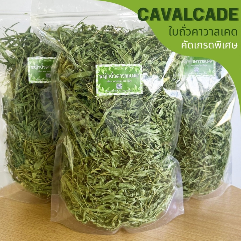 ✿ใบถั่วคาวาลเคด✿ Cavalcade  อบใหม่ คัดเกรดพิเศษ พรีเมี่ยม สำหรับกระต่ายและสัตว์ฟันแทะทุกชนิด