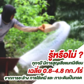 (ยกกระสอบ25kg)แม่ปุ๋ย (กรีเซอร์ไรท์) แมกนีเซียมซัลเฟต โมโนไฮเดรต ชนิดเม็ด ช่วยให้พืชสังเคราะห์แสง