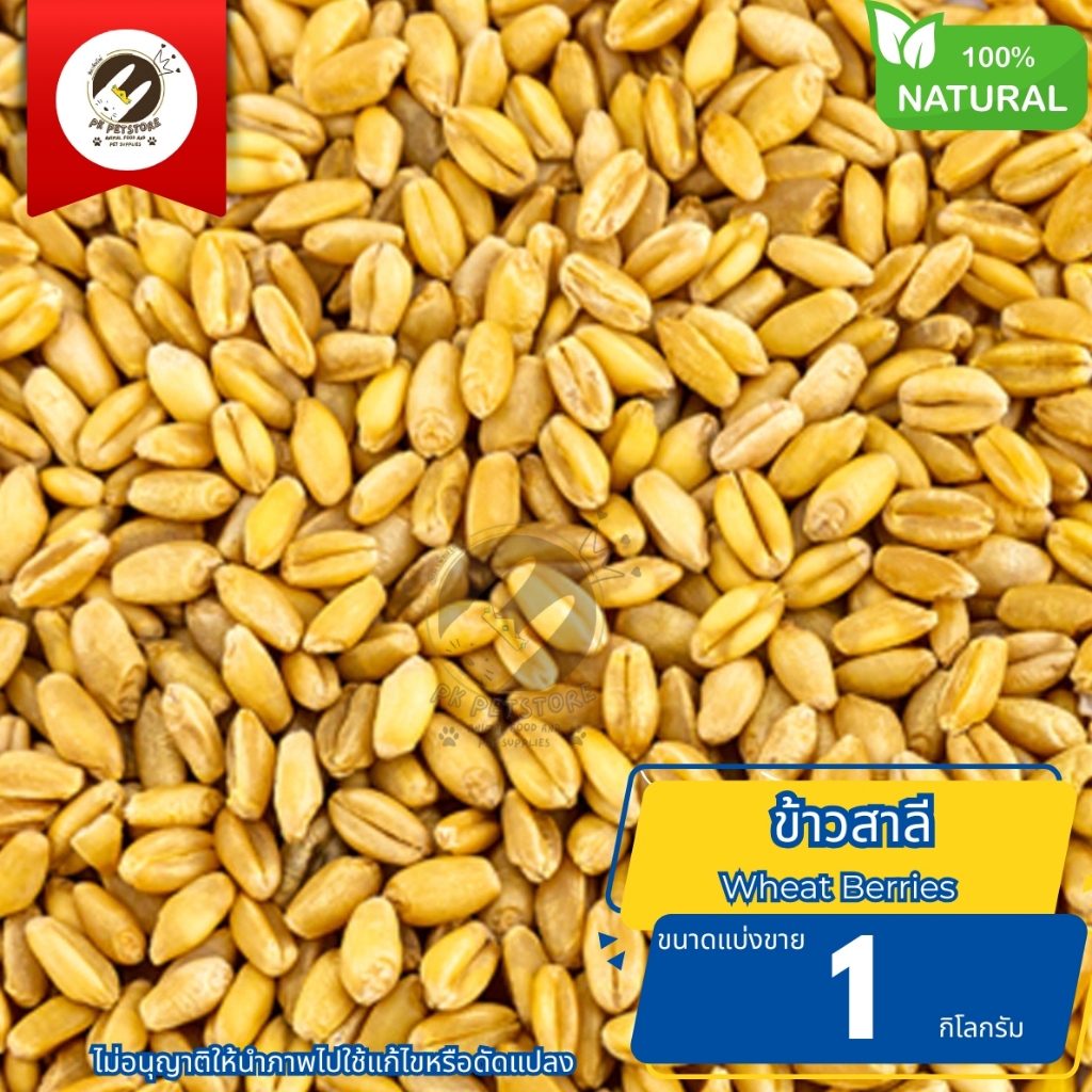 ธัญพืช Seed(ข้าวสาลี) ธัญพืชที่มีคุณค่าทางโภชนาการซึ่งให้ประโยชน์ ขนาด 1 กิโลกรัม