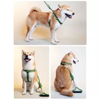 (เติมสต็อกแล้ว) Touchdog ชุดสายจูงสัตว์เลี้ยง พร้อมสายรัดอก มี8สีให้เลือก สายจูงสุนัข